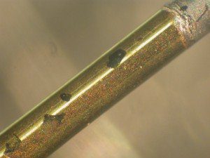 NiO black spots on gold coated pin