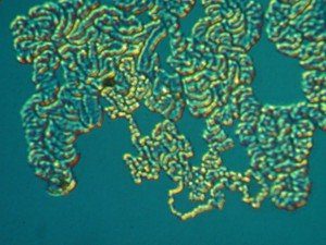 Underlayer chemical attack of anti-reflective optical coating