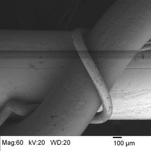 Set of three wires shown in backscatter mode with the SEM.