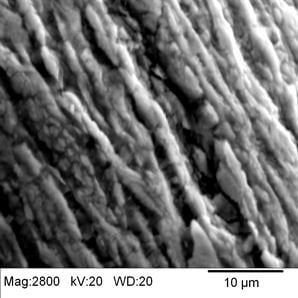 At much higher magnification the surface of the Ti wire (Figure 4, collected at 2800x) appears to be flakey or scaly, with the features again elongated in the direction of drawing (wire length).  The scale is primarily a thick oxide layer.