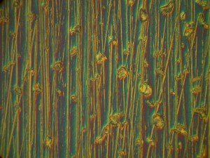 Topography of a molded polymer surface shown by using Nomarski Differential Interference Phase Contrast