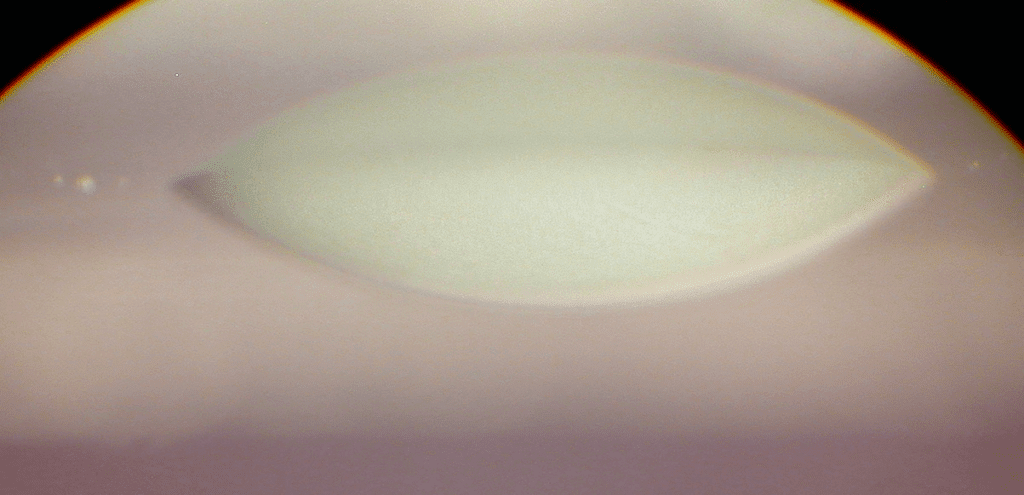 A droplet of plasticizer on the same surface has a much lower contact angle indicating a readiness to wet this surface.