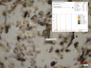 Particle Analysis Services - LIBS Analysis of Silicate particle for environmental study.