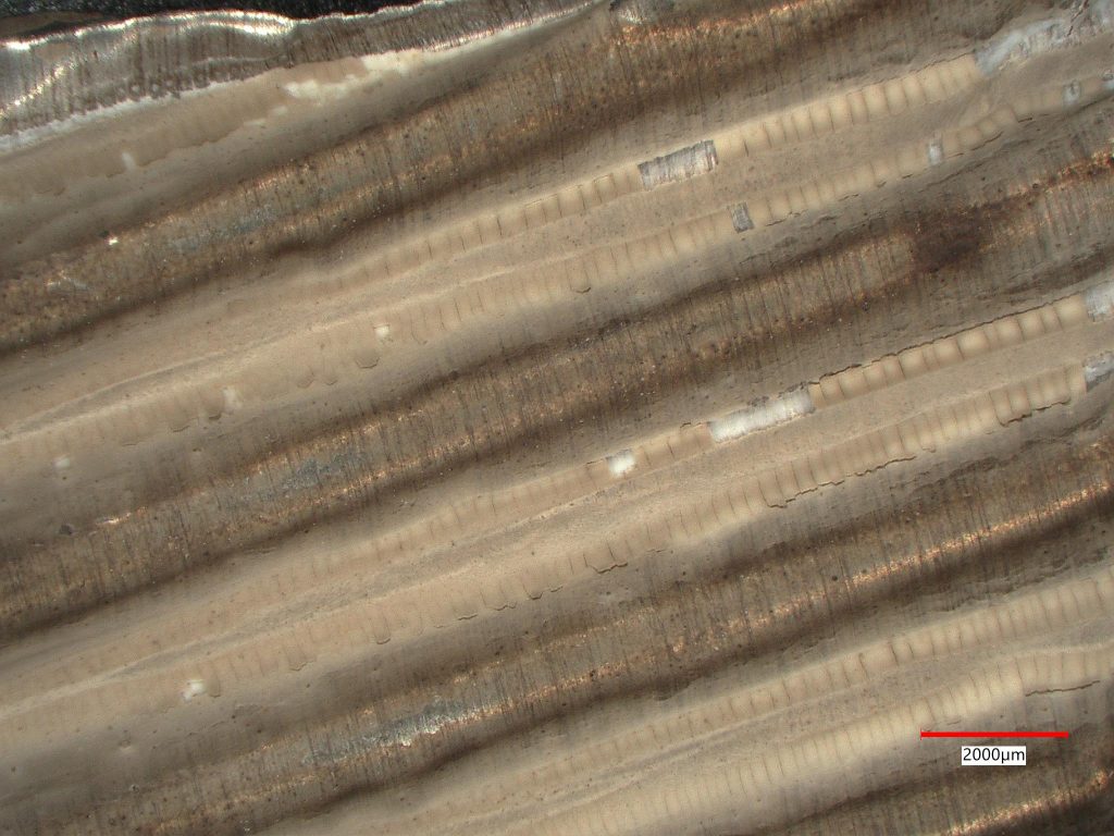 A washcoat catalyst on a corrugated metal from a gas absorbing system as seen under the Keyence microscope